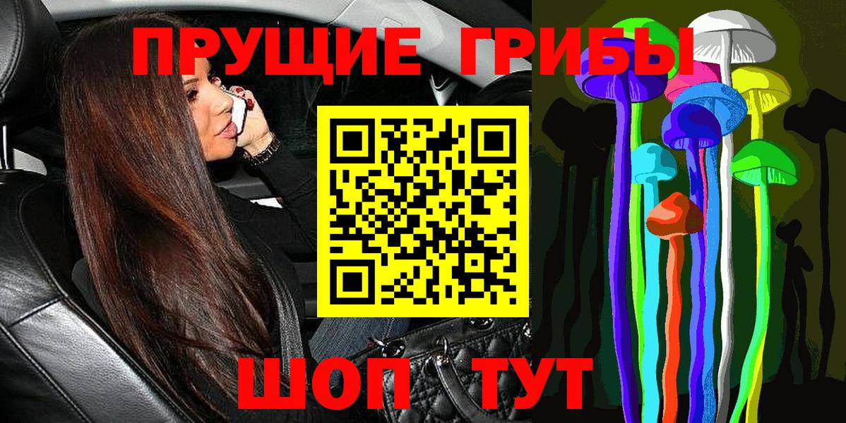 Псилоцибиновые грибы Magic Shrooms  хочу наркоту  Гусиноозёрск  Вход с VPN 